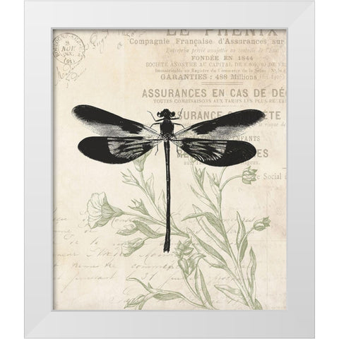 Vintage Insects White Modern Wood Framed Art Print by Villa, Mlli