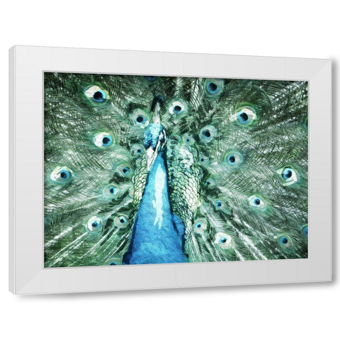 Looking Peacock White Modern Wood Framed Art Print by Villa, Mlli