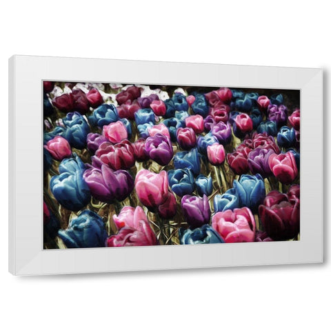 Colorful Tulips White Modern Wood Framed Art Print by Villa, Mlli