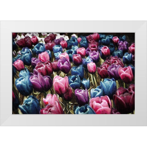 Colorful Tulips White Modern Wood Framed Art Print by Villa, Mlli