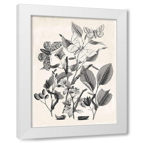 Flower And Bugs White Modern Wood Framed Art Print by Villa, Mlli