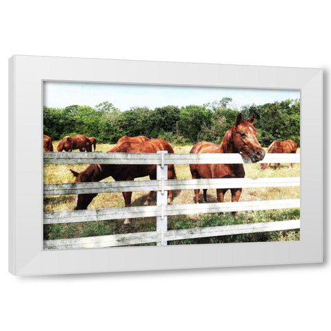 Horse Farm White Modern Wood Framed Art Print by Villa, Mlli