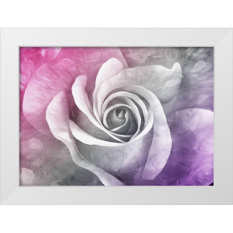 Look At That Rose White Modern Wood Framed Art Print by Villa, Mlli