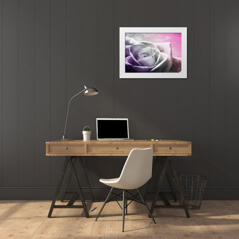 And Look At That Rose White Modern Wood Framed Art Print by Villa, Mlli
