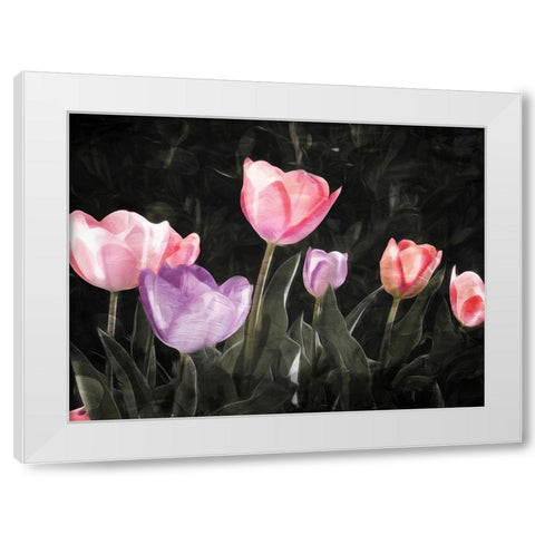 Tulips In The Dark White Modern Wood Framed Art Print by Villa, Mlli