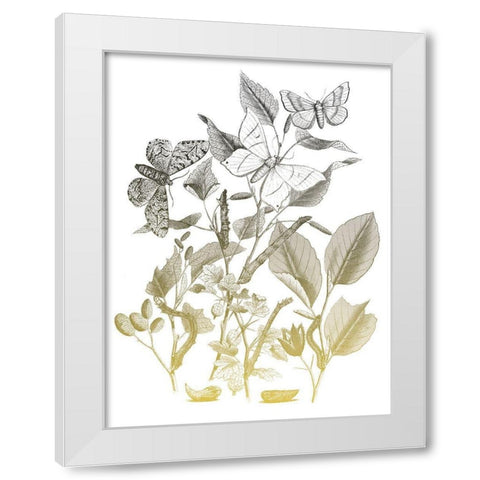 Flower and Bugs A White Modern Wood Framed Art Print by Villa, Mlli