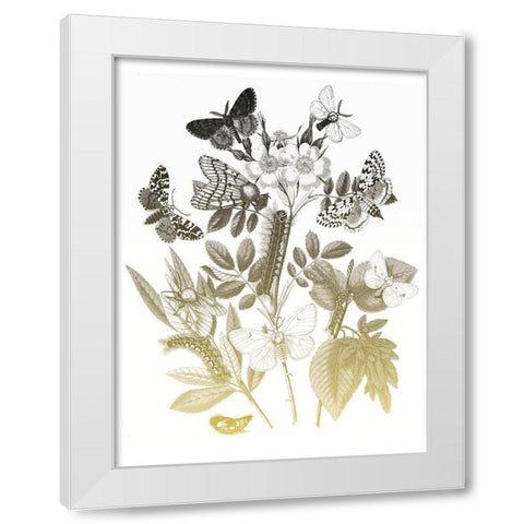 Flower and Bugs B White Modern Wood Framed Art Print by Villa, Mlli