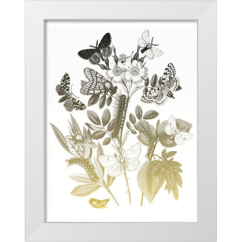 Flower and Bugs B White Modern Wood Framed Art Print by Villa, Mlli
