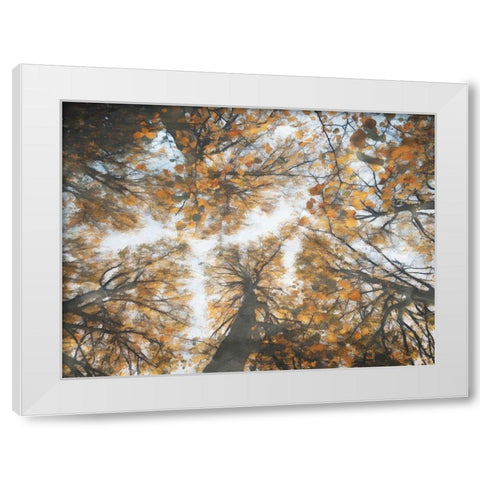 Look Up In The Forest White Modern Wood Framed Art Print by Villa, Mlli
