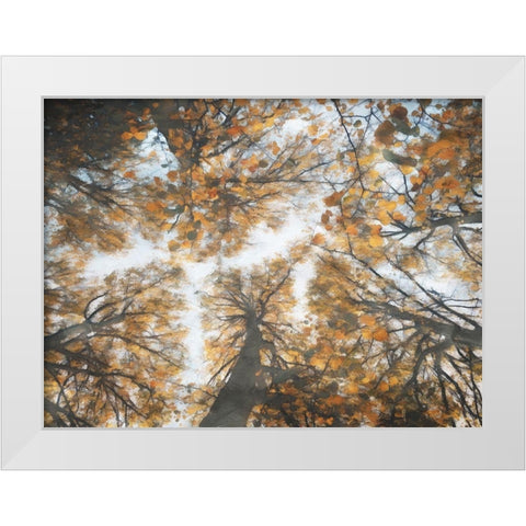 Look Up In The Forest White Modern Wood Framed Art Print by Villa, Mlli