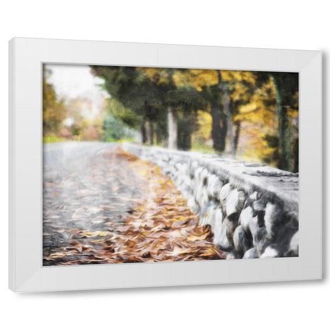 Leaves On The Road White Modern Wood Framed Art Print by Villa, Mlli