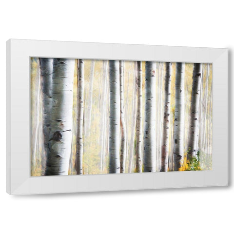 Birch Family White Modern Wood Framed Art Print by Villa, Mlli