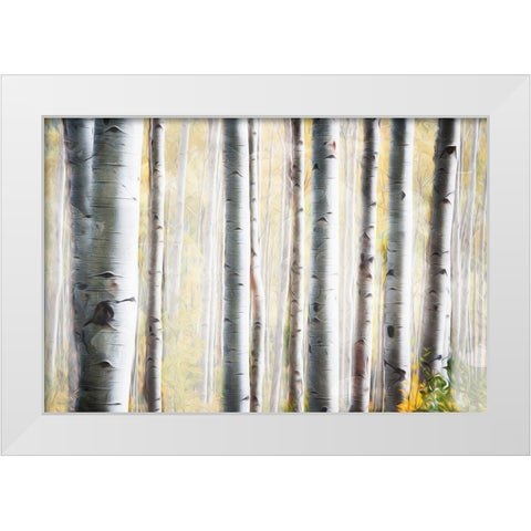 Birch Family White Modern Wood Framed Art Print by Villa, Mlli
