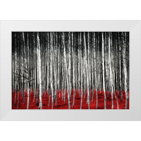 Birch In The Woods At Night White Modern Wood Framed Art Print by Villa, Mlli