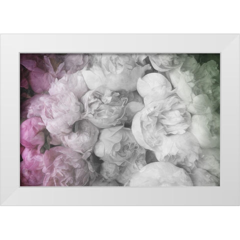White to Pink Flowers White Modern Wood Framed Art Print by Villa, Milli