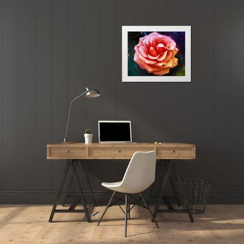 Bright Rose White Modern Wood Framed Art Print by Villa, Mlli