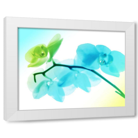 Electric Orchids White Modern Wood Framed Art Print by Villa, Mlli