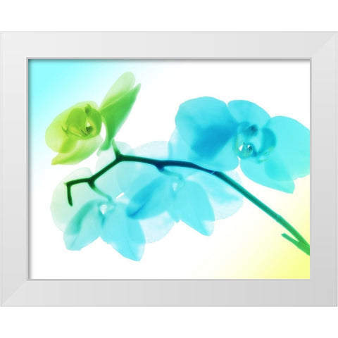 Electric Orchids White Modern Wood Framed Art Print by Villa, Mlli
