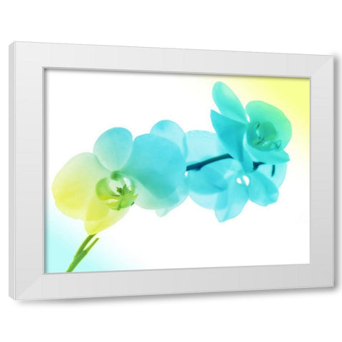 Electric Orchids 2 White Modern Wood Framed Art Print by Villa, Mlli