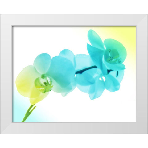 Electric Orchids 2 White Modern Wood Framed Art Print by Villa, Mlli