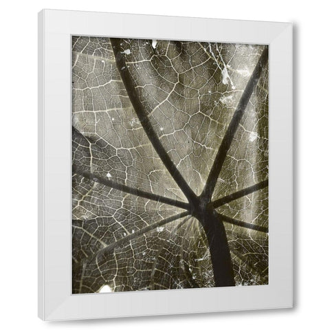 Leaf Umbrella White Modern Wood Framed Art Print by Villa, Mlli