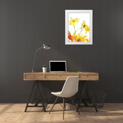 Vibrant Flowers White Modern Wood Framed Art Print by Villa, Mlli