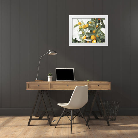 Lemons White Modern Wood Framed Art Print by Villa, Mlli