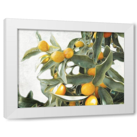 Lemons White Modern Wood Framed Art Print by Villa, Mlli