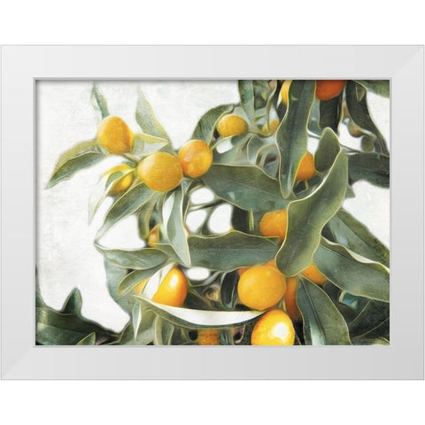 Lemons White Modern Wood Framed Art Print by Villa, Mlli