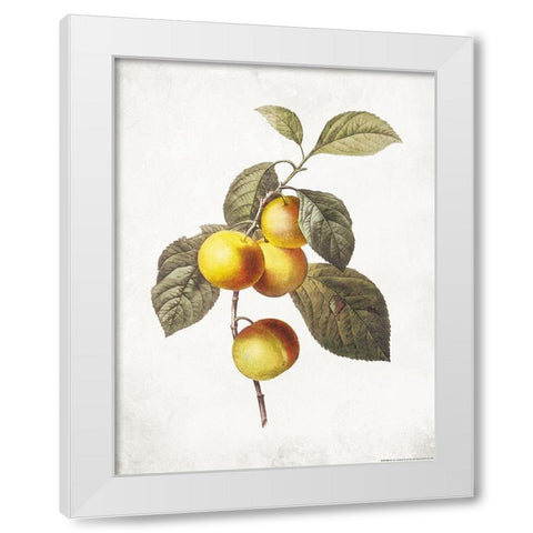 Less Lemons White Modern Wood Framed Art Print by Villa, Mlli