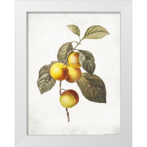 Less Lemons White Modern Wood Framed Art Print by Villa, Mlli