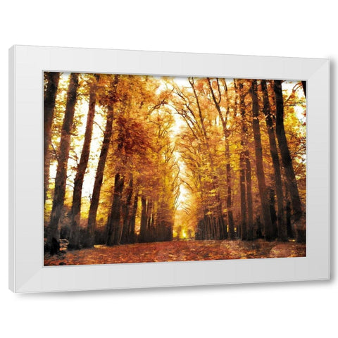 Fallow Your Path White Modern Wood Framed Art Print by Villa, Mlli