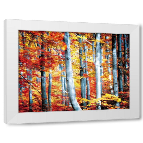 Fall Is Here White Modern Wood Framed Art Print by Villa, Mlli