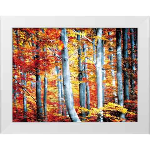 Fall Is Here White Modern Wood Framed Art Print by Villa, Mlli