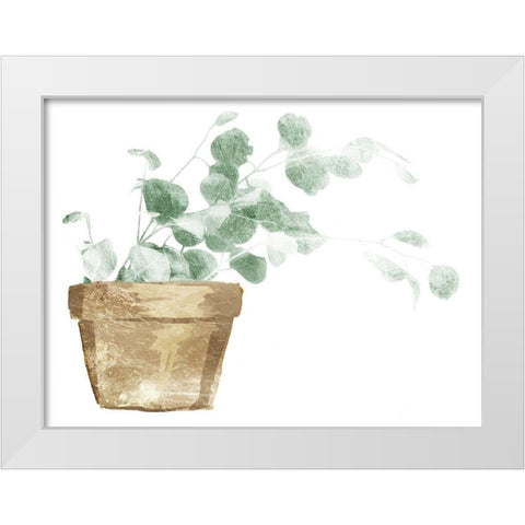 Eucalyptus Planted White Modern Wood Framed Art Print by Villa, Mlli