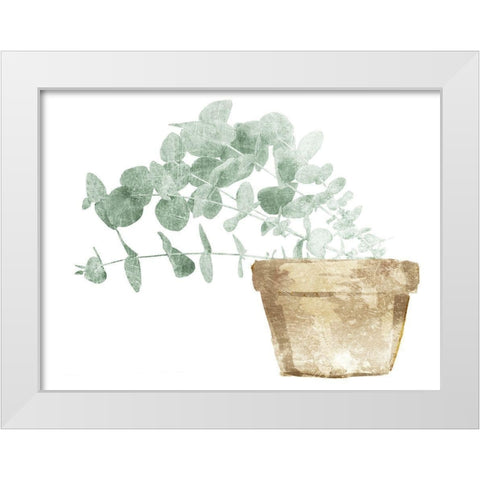 Eucalyptus Planted Mate White Modern Wood Framed Art Print by Villa, Mlli