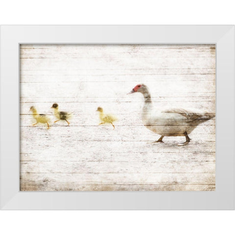 Duck Duck Duck White Modern Wood Framed Art Print by Villa, Mlli