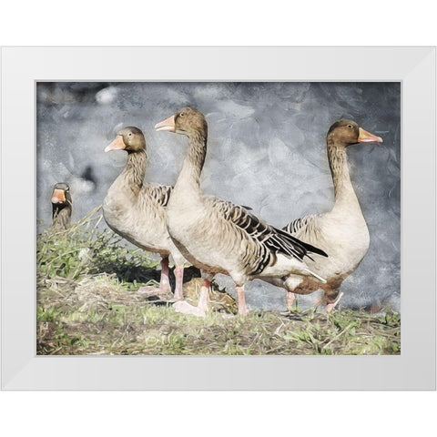 Goose Crew Too White Modern Wood Framed Art Print by Villa, Mlli