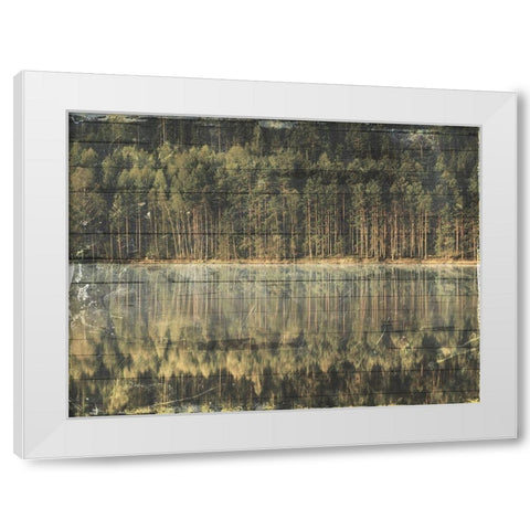 Through The Woods White Modern Wood Framed Art Print by Villa, Mlli
