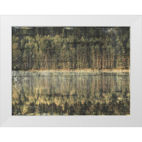 Through The Woods White Modern Wood Framed Art Print by Villa, Mlli