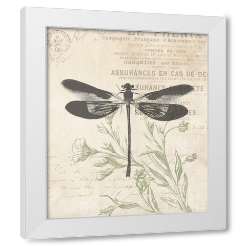 Lightened Vintage Insects White Modern Wood Framed Art Print by Villa, Mlli