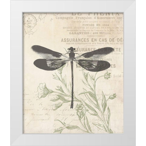 Lightened Vintage Insects White Modern Wood Framed Art Print by Villa, Mlli