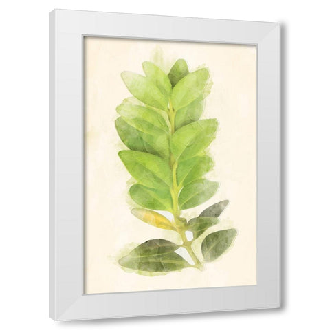 Green Leaves White Modern Wood Framed Art Print by Villa, Mlli