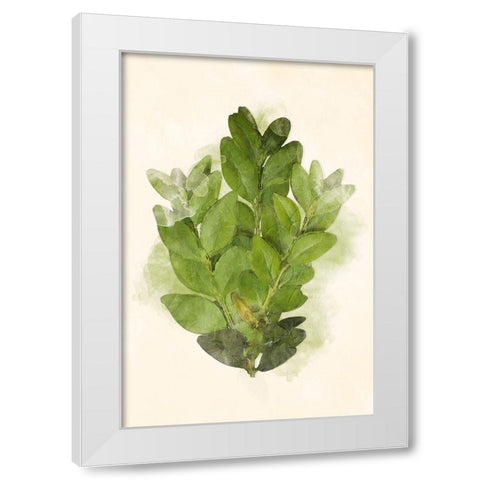 More Green Leaves Mate White Modern Wood Framed Art Print by Villa, Mlli