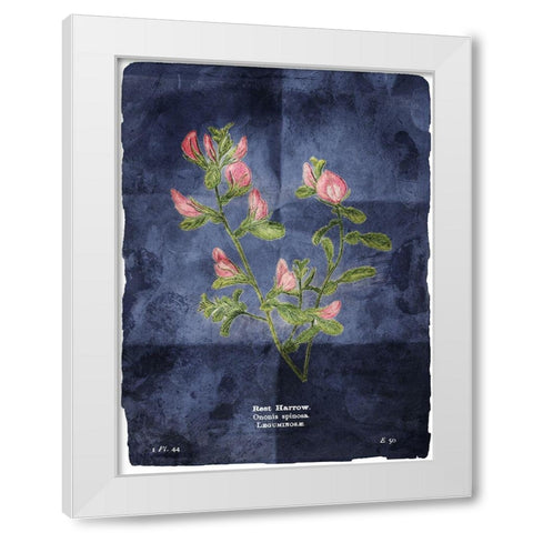 Flower Page Blue White Modern Wood Framed Art Print by Villa, Mlli