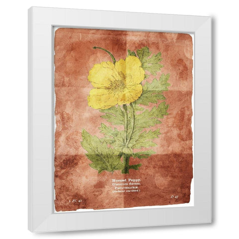 Flower Page Two Brown White Modern Wood Framed Art Print by Villa, Mlli