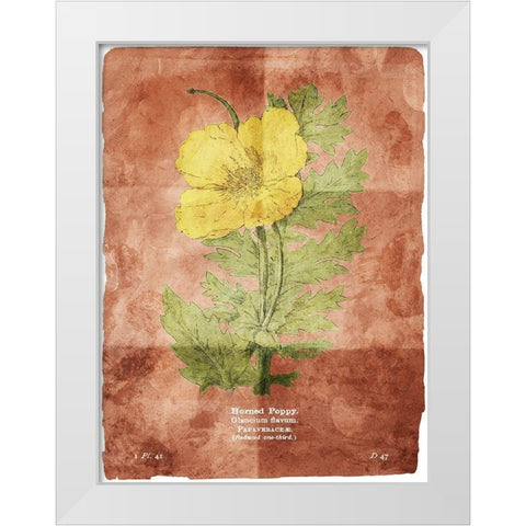 Flower Page Two Brown White Modern Wood Framed Art Print by Villa, Mlli