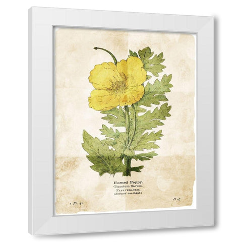 Flower Page Two White Modern Wood Framed Art Print by Villa, Mlli