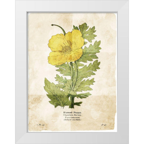 Flower Page Two White Modern Wood Framed Art Print by Villa, Mlli