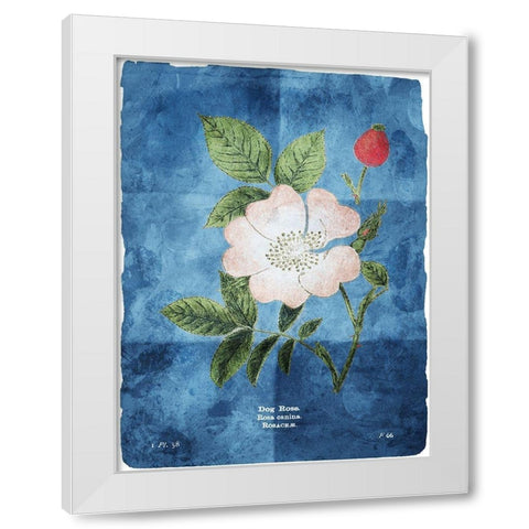 Flower Page Three Blue White Modern Wood Framed Art Print by Villa, Mlli